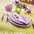 Proposition de d�cor de table mariage