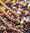 perles et paillettes