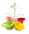 MANEGE POCHEUSES - LA CUISINE - MYRTILLE