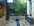 mur v�getal