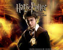 Harry Potter pour les petits - Enfants, collections optiques et solaires - CLAIRVUE OPTICIEN ATOL