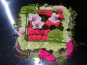 COUSSIN CARRE