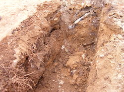 SNC10868.JPG