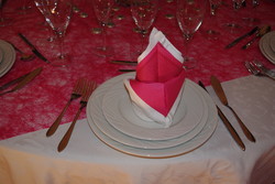 salon dijon 2010 013.jpg