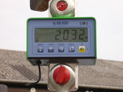 SNC12299.JPG