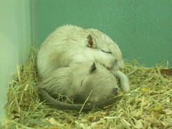 DSCN0038.JPG