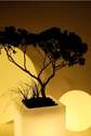 CUBE LUMINEUX - BOULES LUMIERES - PERRET PAYSAGE