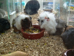 DSCN0051.JPG