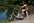 V�loce Dark Horse -  - SAMUI LOISIRS