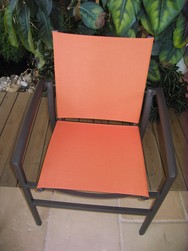 IMG_4233.jpg