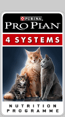life_plan_banner_cat.gif