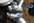 V�lo � assistance �lectrique pliant.jpg