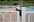 Syst�me de s�curit� sur portillon