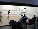 SQUASH