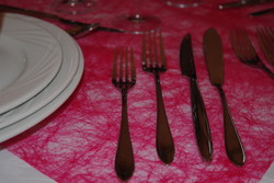 salon dijon 2010 020.jpg