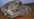 DSCN6170.JPG