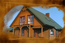 20051115(002)_edit.jpg