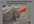 CD-Rom Risques/cons�quences d'ensevelissement de personnes - CREATION DE CD-ROM � la demande - SEDECO