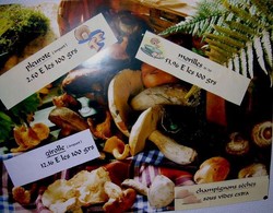 CHAMPIGNONS FRAIS ET SECS -  - LE JARDIN D'OLIVIER