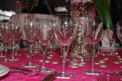 salon dijon 2010 019.jpg