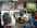 Rongeur : cobaye, hamster, chinchilla, lapin, gerbille, sourit, rat - Animaux vivants - FAUNE BOUTIQUE