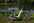 V�lo �lectrique : Immersion Darkhorse -  - SAMUI LOISIRS