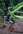 V�lo � assistance �lectrique