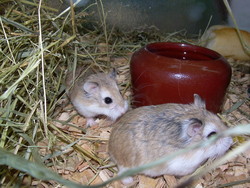 DSCN0050.JPG