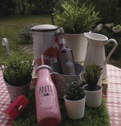 Jus de Grenade 33 cl Milliat - FLORISIM