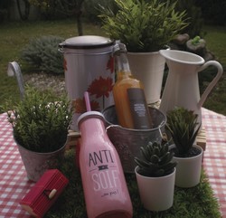 Nectar d'Abricot 33 cl Milliat - FLORISIM