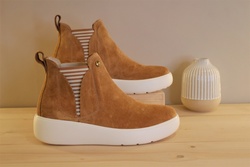 Boots PANAMA JACK - MALASANA - Parenthse