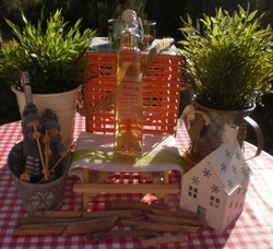 Vinaigre fleur de sureau bio savoie 50 cl - FLORISIM