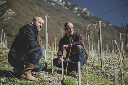 Domaine Berthollier Savoie - FLORISIM