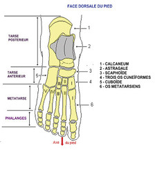 podomode chaussures