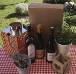Apremont 75 cl-Mondeuse 75 cl-Terre du Lman bio 75 cl - FLORISIM