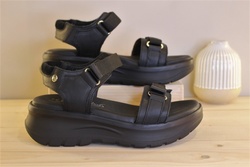 Chaussures PANAMA JACK - NAIROBI - Parenthse