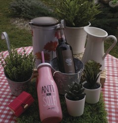 Nectar de Myrtille 33 cl Milliat - FLORISIM