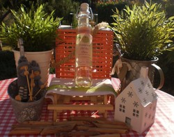Vinaigre ail des ours bio savoie 50 cl - FLORISIM