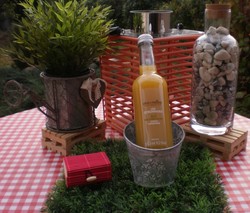 Citronnade bio : citron-gingembre 33 cl Alain Milliat Drme - FLORISIM