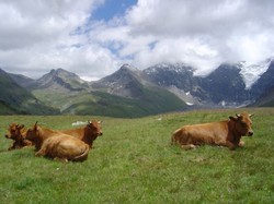 vivre de l agriculture  - Chalet les trolles