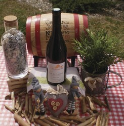 Vin rouge de Savoie Pinot noir Domaine Méjane 75 cl AOP - FLORISIM