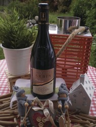 Vin rouge de Savoie Mondeuse Arbin Domaine Vullien 75 cl AOP - FLORISIM