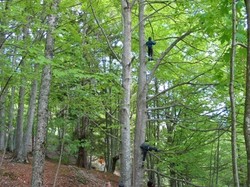 classe foret et accrobranche - Chalet les trolles