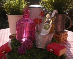 Infusion bio citron vert-fleur de sureau 25 cl Alain Mililat - FLORISIM