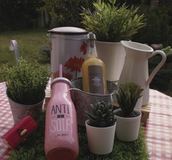 Jus de Pomme Cox's 33 cl Milliat - FLORISIM