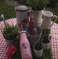 Nectar de Framboise 33 cl Milliat - FLORISIM