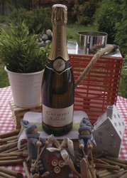  Crmant de Savoie Domaine Vullien 75 cl AOP - FLORISIM