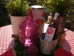Infusion bio framboise - menthe poivre 25 cl Alain Mililat - FLORISIM