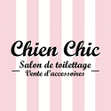CHIEN CHIC - Chambéry