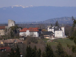 CITE MEDIEVALE DE LA ROCHE SUR FORON HAUTE SAVOIE - FLORISIM